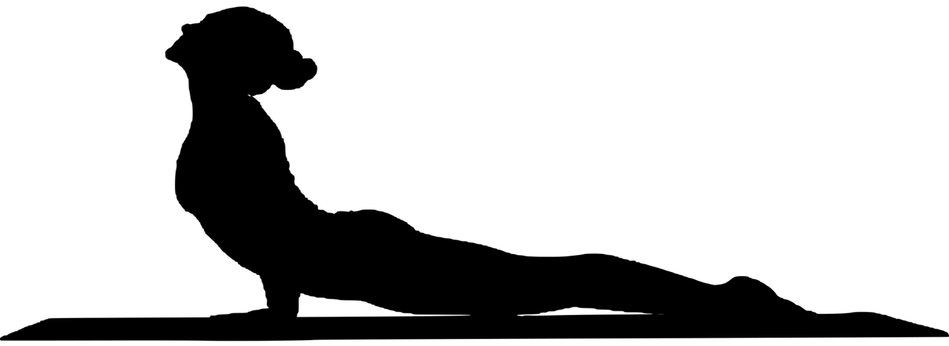 Wirbelsäulengymnastik